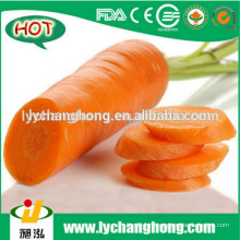 2014 оптовая продажа высококачественной свежей моркови S, M, L, 2L, 3L